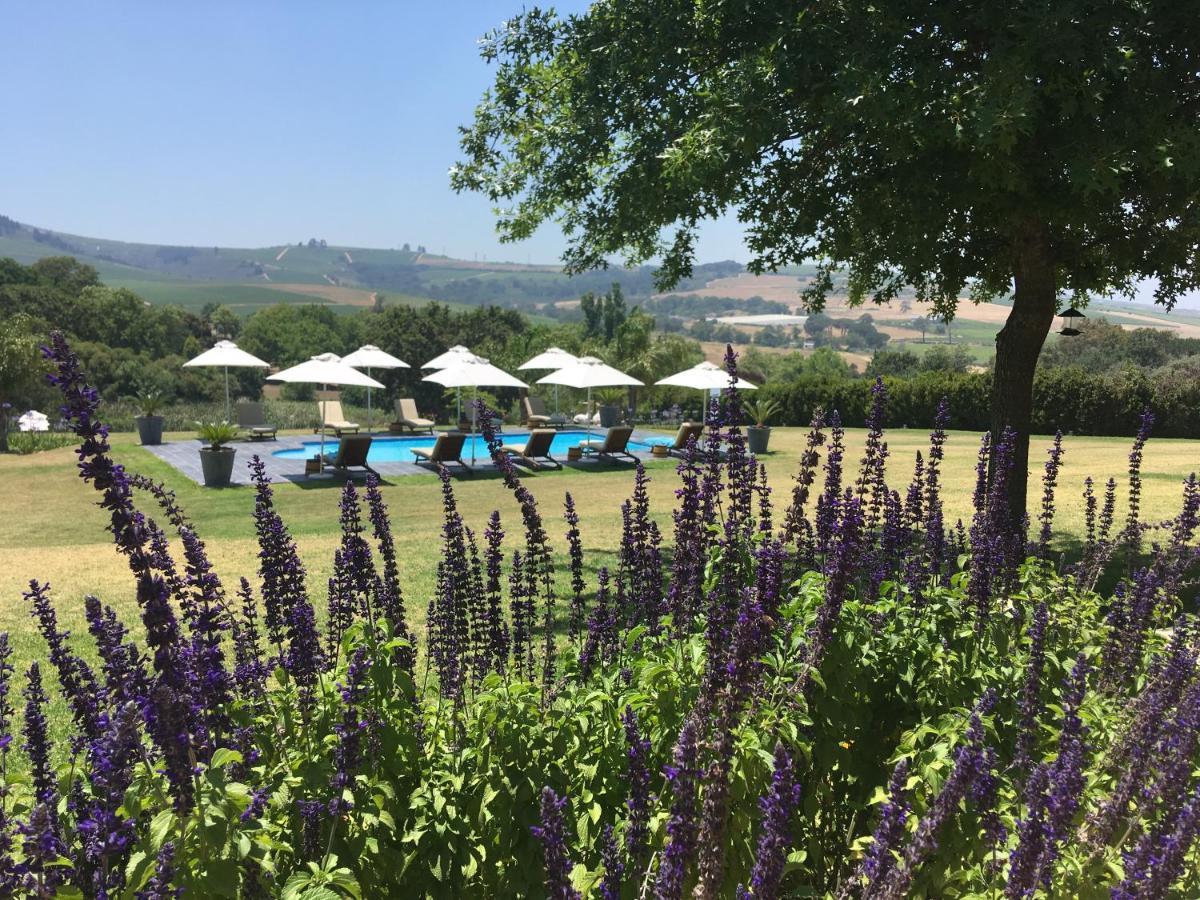 Cultivar Boutique Hotel Stellenbosch Eksteriør bilde